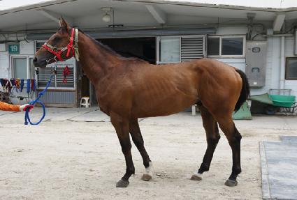 ���̿� ����