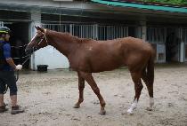 �Ͽ��Ͽ� (IRYEO HAYEO) ����