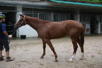 �Ͽ��Ͽ� ����