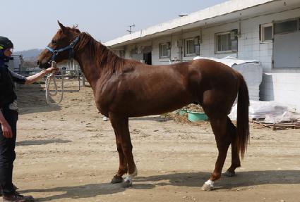 ����ũ ����