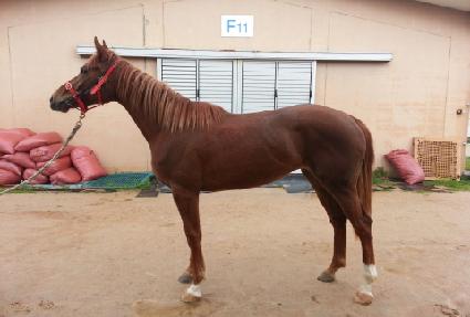 �����ǽ�ũ ����