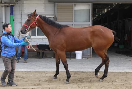 ������ǳ ����