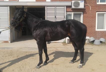 ĸƾ�� ����