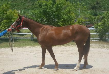 ĳġ���� ����