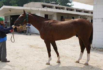 �н�Ʈ�м� ����