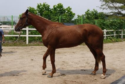 �ε���� ����