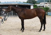 Ȧ���� (HOLY MONG) ����