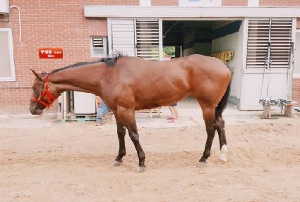 ���̾𸮴� ����