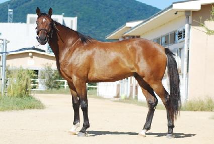 ���ν��Ծ� ����