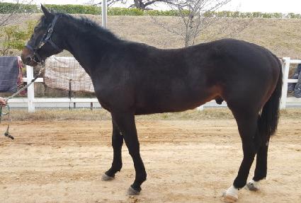 ���ô� ����