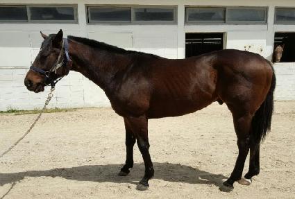 �̽����ڸ��� ����