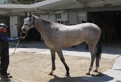 �Ƹ��ٿ��ǳ ����