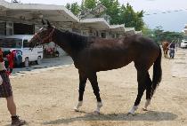 ���̿����� (I AM WINNER) ����