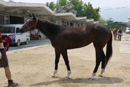 ���̿����� ����