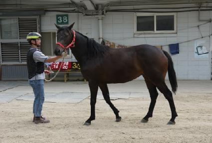 ���������� ����