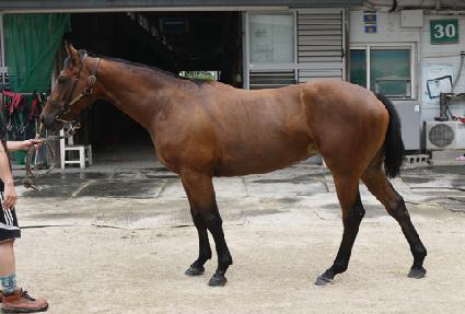 ���ǿ�����ũ ����