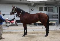 �󺻴�� (NONGBON DAERO) ����