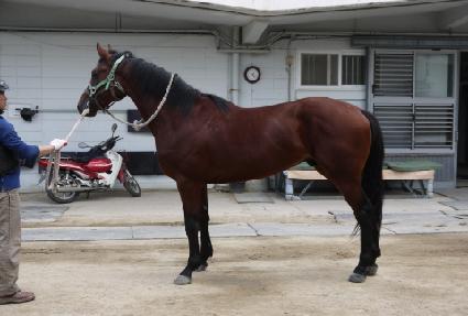 �󺻴�� ����