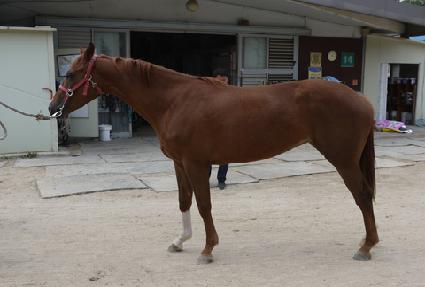 ���������� ����