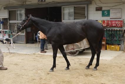 ������ ����