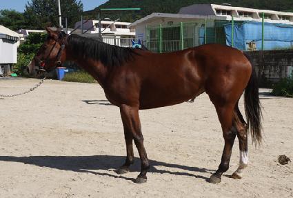 ťƼ���� ����