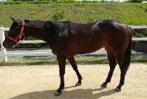 ����� (BAENGNYEON DAERO) ����