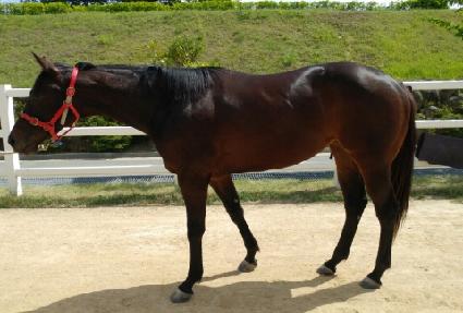 ����� ����