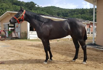 ��ȭ���ô� ����