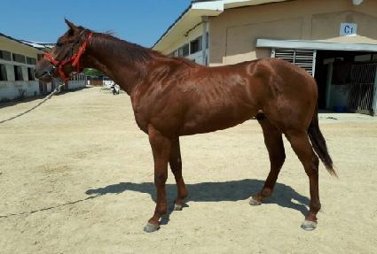 ���̳��Ͱ� ����