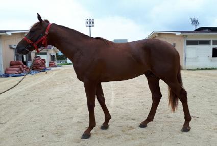 ĸƾ���� ����