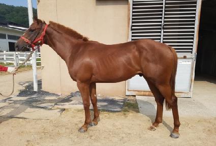 ���嵥�� ����