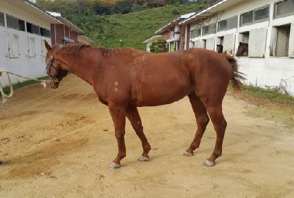 ������ ����