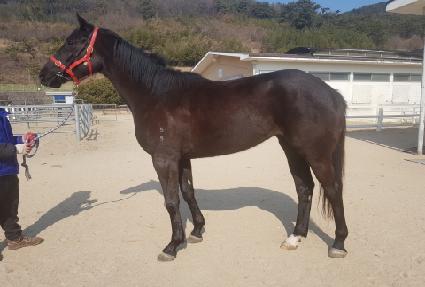 �������� ����