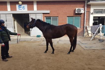 �Ƹ𸮽� ����