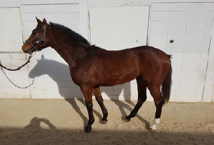 �ΰ���� ����