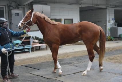 �����ֿ� ����