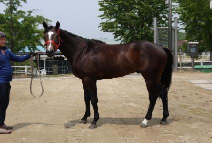 ��ٶ� ����