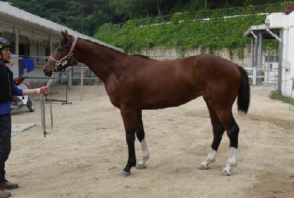 ��������̸� ����