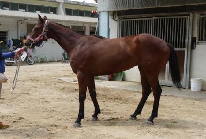 ��½�Ƽ� ����