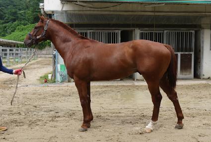 ��°�ȣ ����