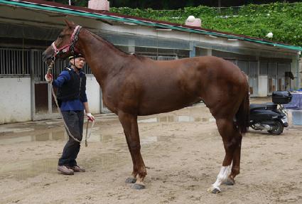 ��¹̶�Ŭ ����