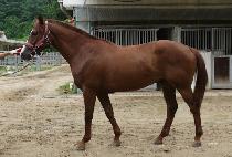 ��µ�ǳ (RAON DOLPUNG) ����