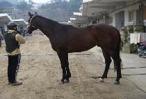 ���彺Ÿ (LEAD STAR) ����