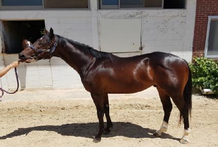 ���� ����