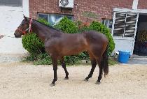 �ѱ� (HANGIL) ����