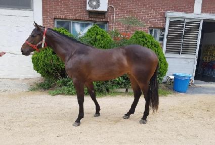 �ѱ� ����