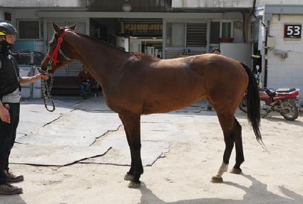 ������ƾ ����