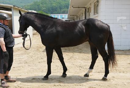 ��õ�� ����