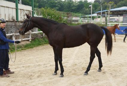 ��緯�� ����