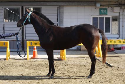 Ŀ��Ŀ�� ����